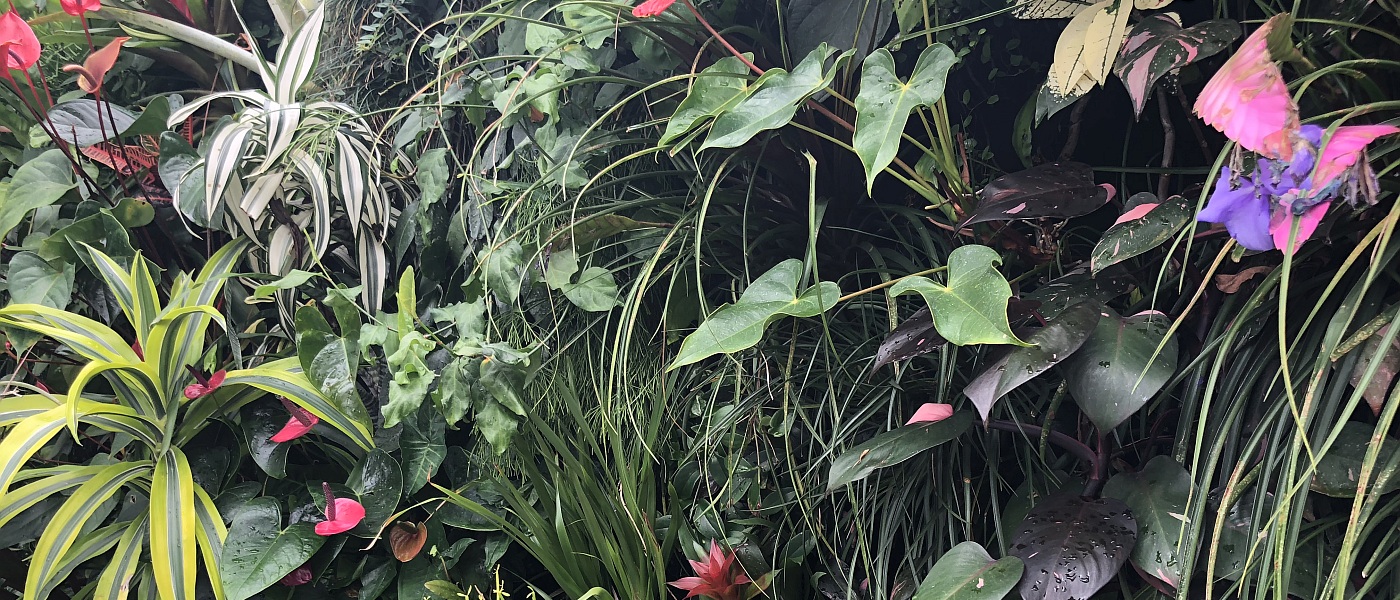 contact header image